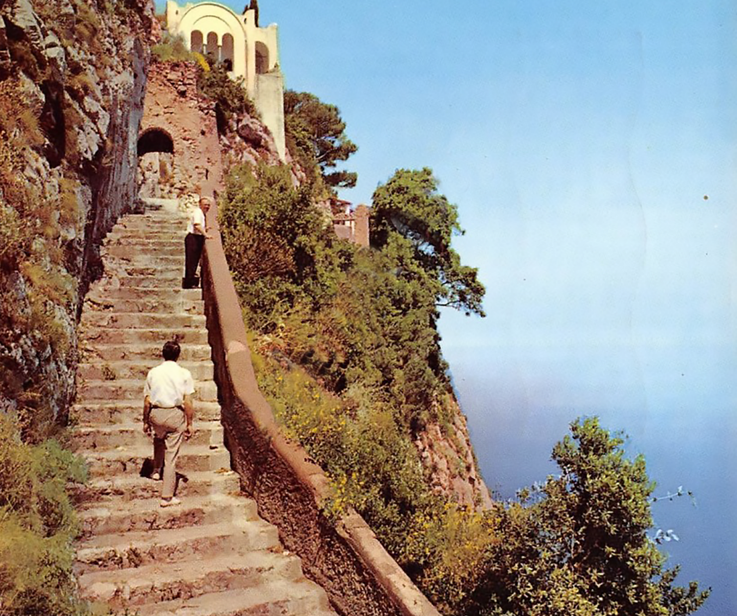 Campania.png