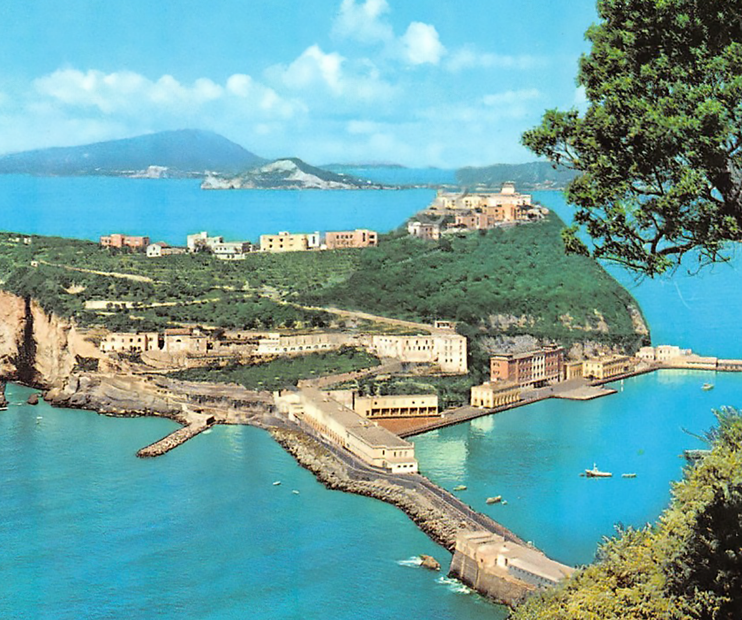 Campania.png