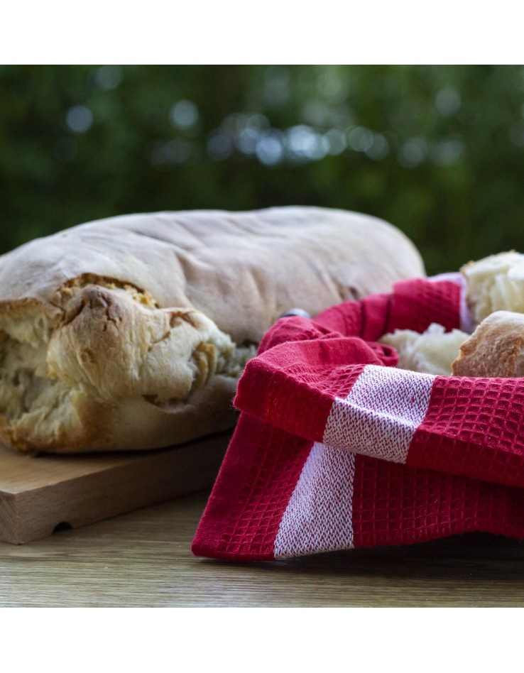 Pane