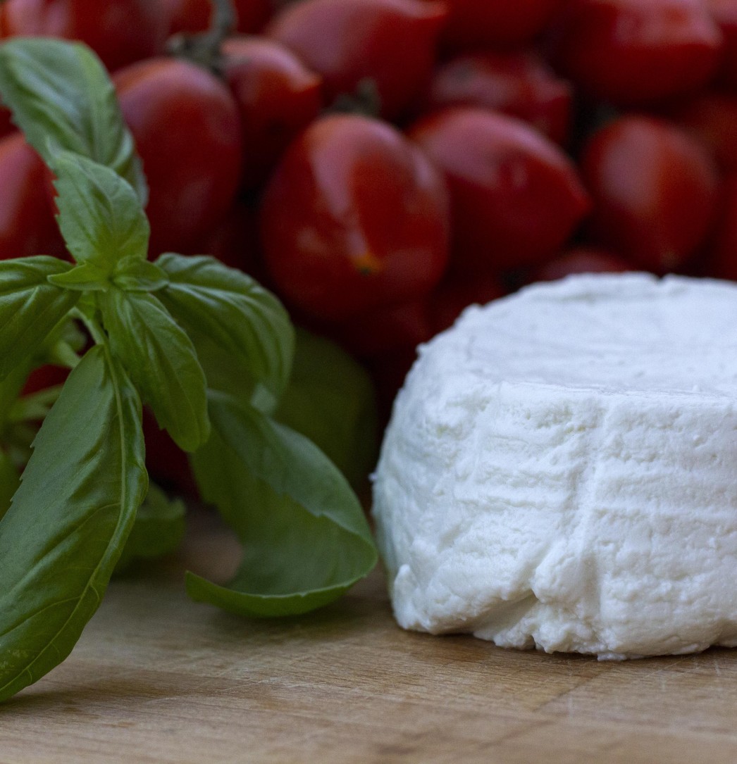 Ricotta