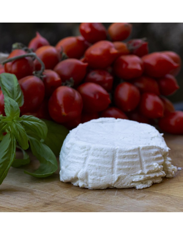 Ricotta