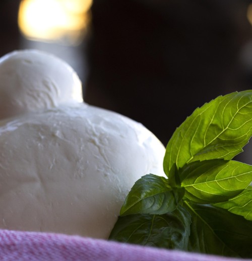 Fior di latte