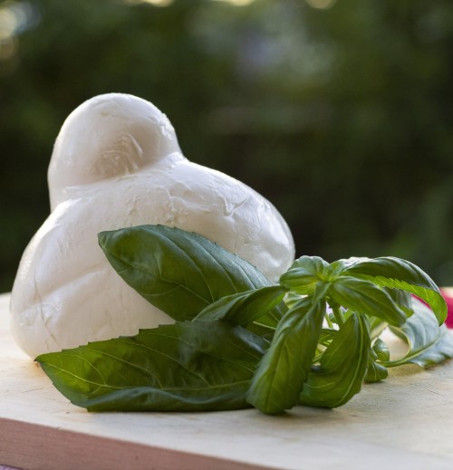 Fior di latte