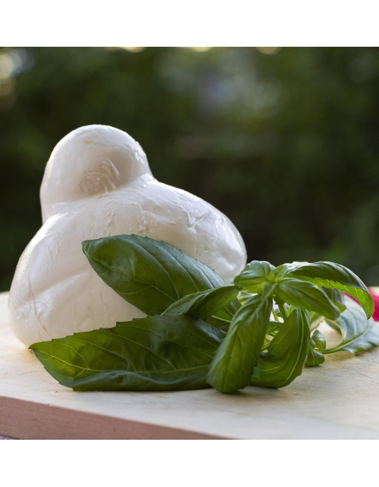 Fior di latte