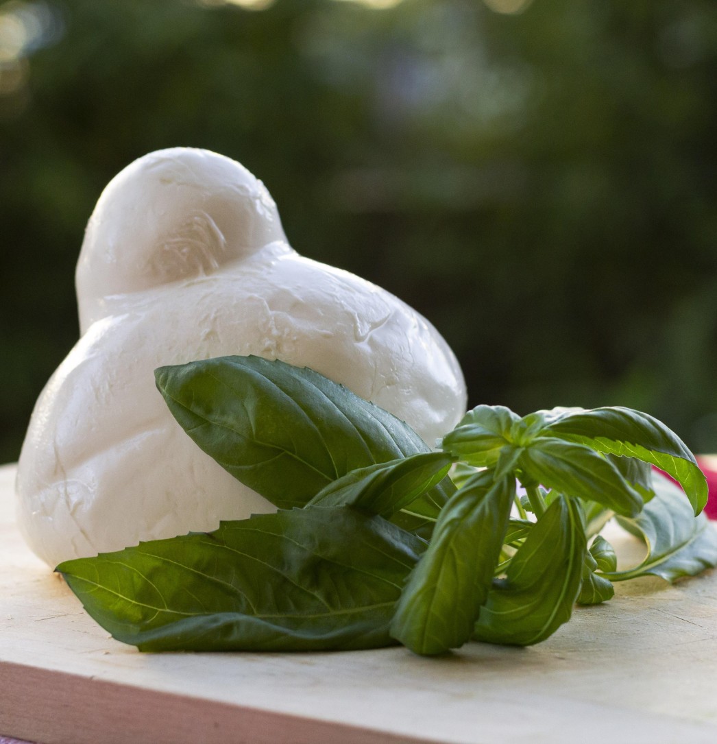 Fior di latte