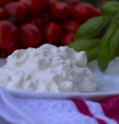 Stracciatella di bufala