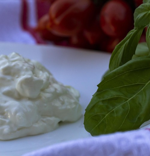 Stracciatella di bufala