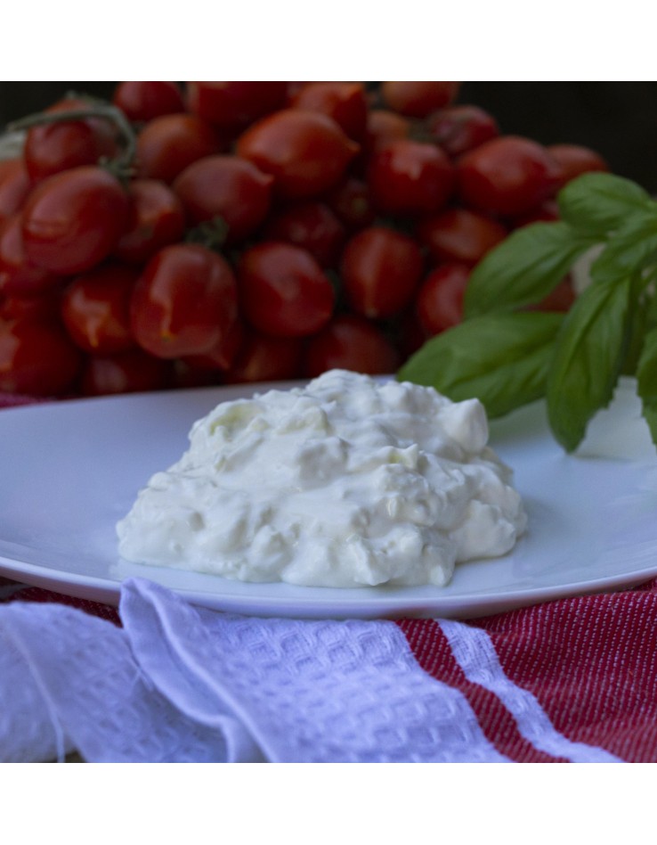 Stracciatella di bufala