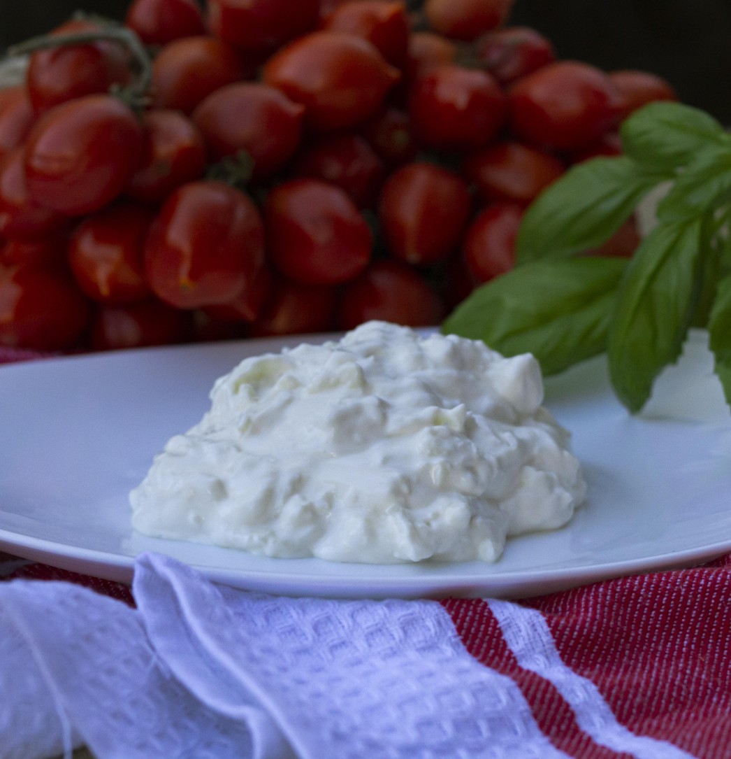 Stracciatella di bufala