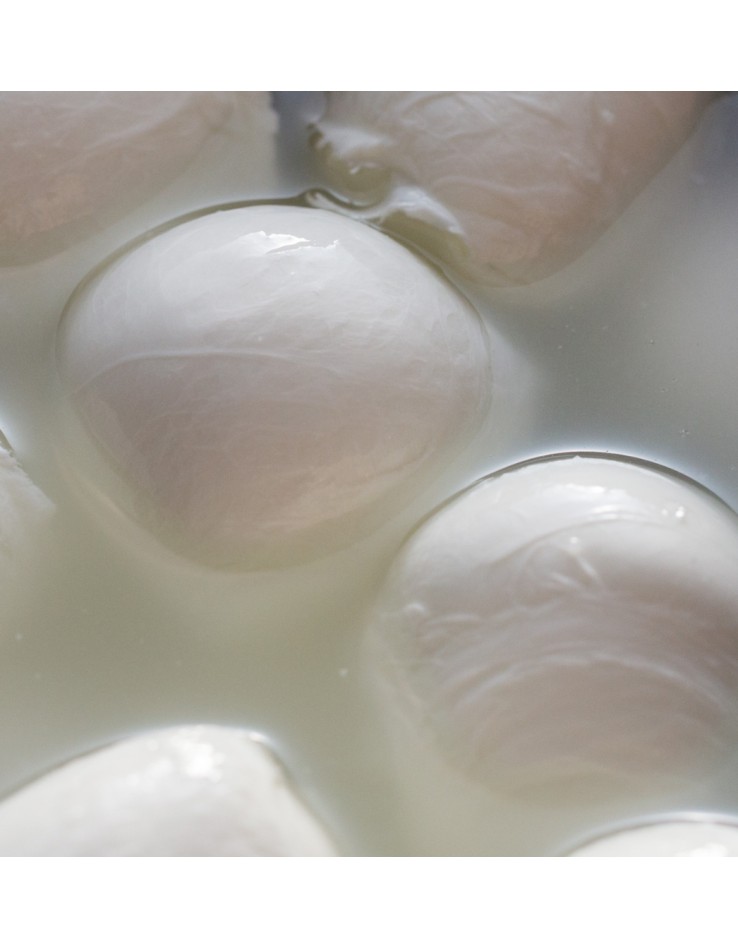 Mozzarella di Bufala Campana DOP