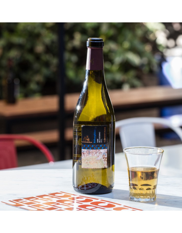 Falanghina di Cimentara